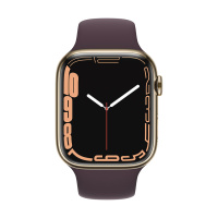 0012786 apple-watch-series-7-gps-cellular-45mm-stainless-steel-case-with-sport-band-regular